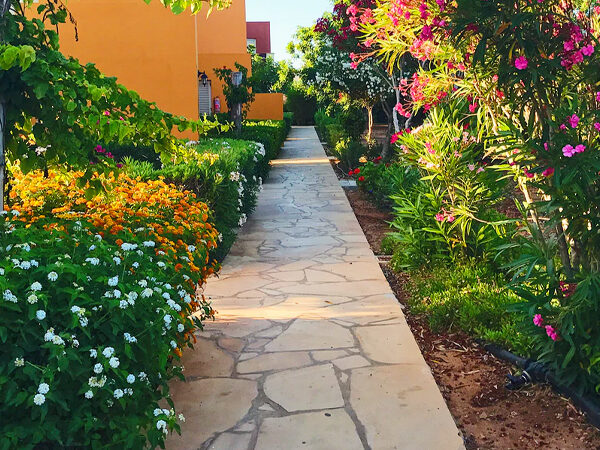 Alqalamoon back garden 600x450